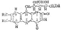 維生素B2 結(jié)構(gòu)式