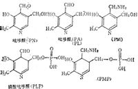維生素B6 結(jié)構(gòu)式