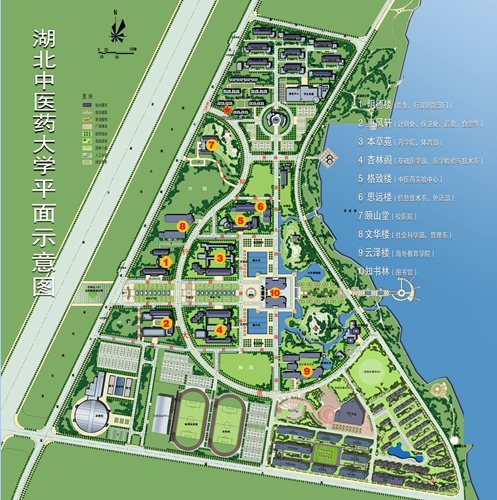 湖北中醫(yī)藥大學平面圖