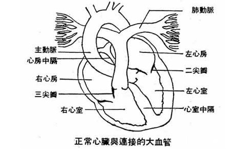 心肌炎患者冬天預(yù)防五大要點