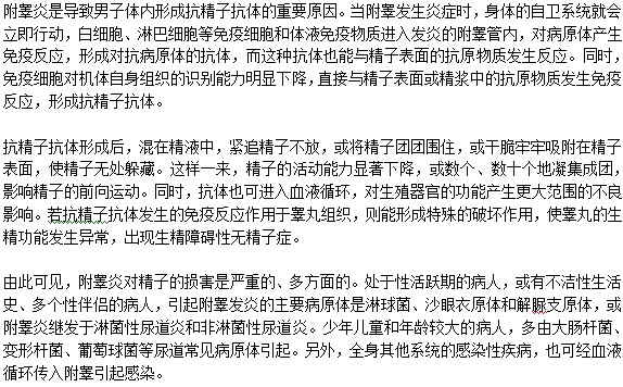 附睪炎對(duì)男性精子的影響是什么