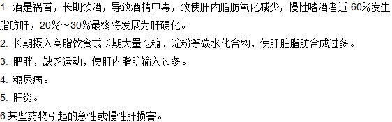 產(chǎn)生脂肪肝的六大原因有哪些？