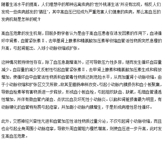 高血壓的發(fā)病機制簡述