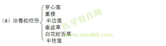 邊走邊學中藥二-清熱涼血藥