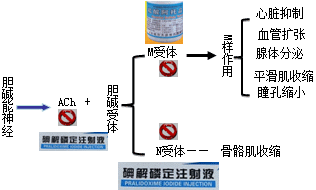 有機(jī)磷酸酯類(lèi)的中毒機(jī)制和解救方法