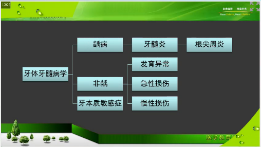 口腔執(zhí)業(yè)助理醫(yī)師筆試考前2個月重點復習項目及**攻略