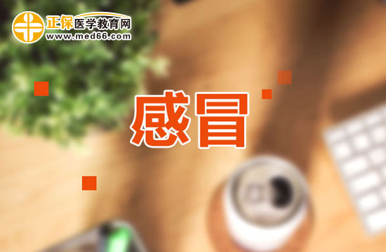 如何通過食療預防感冒？