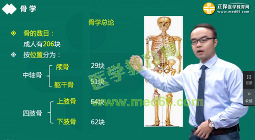 臨床執(zhí)業(yè)醫(yī)師解剖學(xué)課程