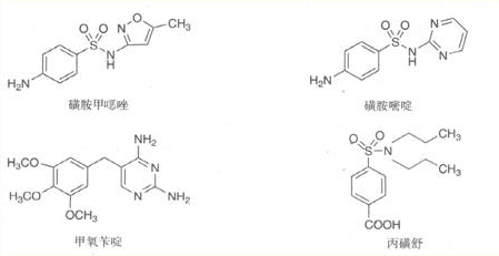 醫(yī)學教育網(wǎng)整理