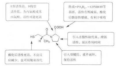 ace抑制劑構(gòu)造關系