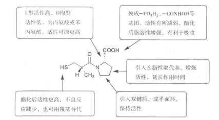 以卡托普利為模型解釋ACE抑制劑結構