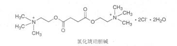 去極化型肌肉松弛藥