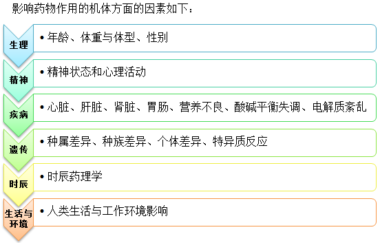 影響藥物作用機體方面的因素--執(zhí)業(yè)藥師輔導精華