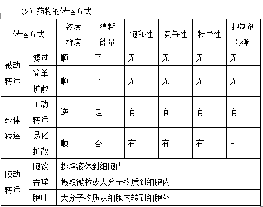 藥物體內(nèi)過程基礎(chǔ)知識--執(zhí)業(yè)藥師考試知識點(diǎn)