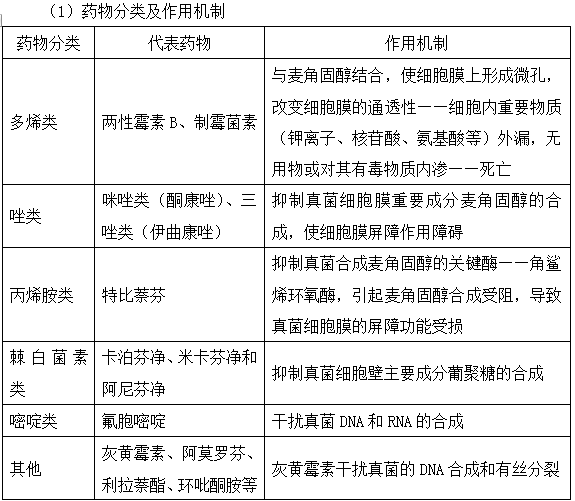 抗真菌藥的作用機制