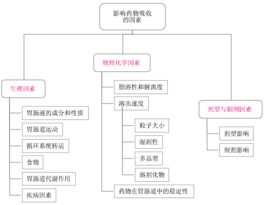 藥物的胃腸道吸收--執(zhí)業(yè)藥師考試輔導精華