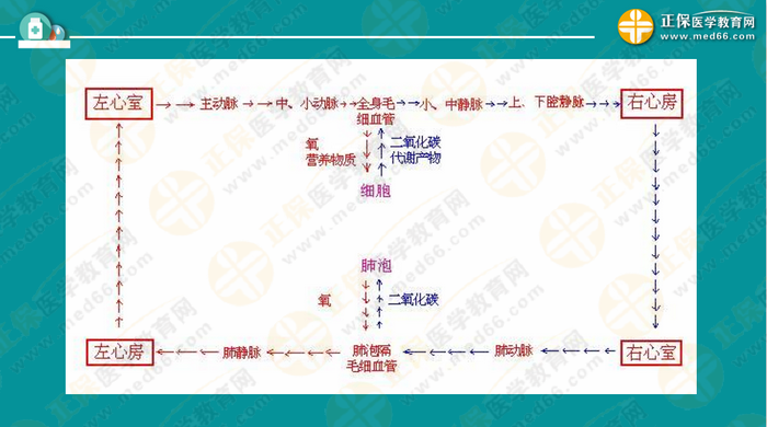 醫(yī)療衛(wèi)生考試筆試備考指導(dǎo)來了，共計(jì)2863頁書！怎么學(xué)？