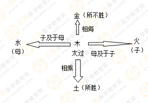 專(zhuān)業(yè)師資帶你學(xué)（五）：執(zhí)業(yè)藥師《中藥綜》五行學(xué)說(shuō)！學(xué)習(xí)要有方法！