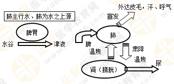 執(zhí)業(yè)藥師藏象