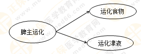 《中藥學綜合知識與技能》的藏象