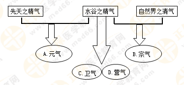 專業(yè)師資帶你學(xué)（八）：執(zhí)業(yè)藥師《中藥綜》生命活動(dòng)的基本物質(zhì)！善用圖解！