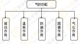 專業(yè)師資帶你學(xué)（八）：執(zhí)業(yè)藥師《中藥綜》生命活動(dòng)的基本物質(zhì)！善用圖解！