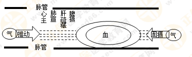 專業(yè)師資帶你學(xué)（八）：執(zhí)業(yè)藥師《中藥綜》生命活動(dòng)的基本物質(zhì)！善用圖解！