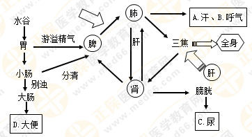 專業(yè)師資帶你學(xué)（八）：執(zhí)業(yè)藥師《中藥綜》生命活動(dòng)的基本物質(zhì)！善用圖解！