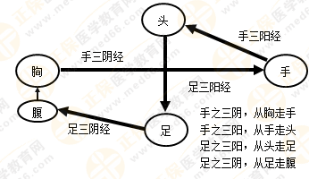 專業(yè)師資帶你學(xué)（九）：執(zhí)業(yè)藥師《中藥綜》經(jīng)絡(luò)與經(jīng)絡(luò)系統(tǒng)！5圖2表！