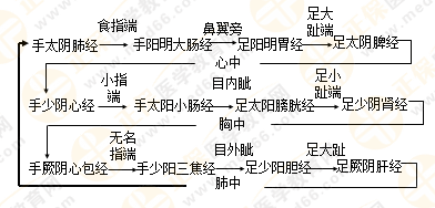 專業(yè)師資帶你學(xué)（九）：執(zhí)業(yè)藥師《中藥綜》經(jīng)絡(luò)與經(jīng)絡(luò)系統(tǒng)！5圖2表！