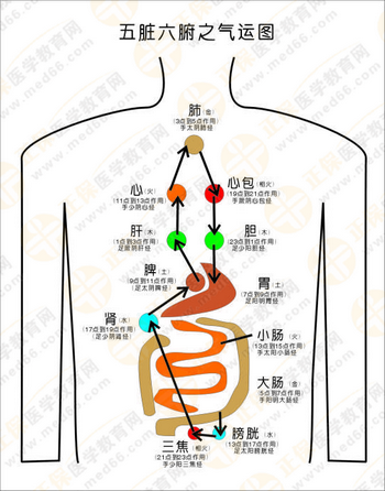 執(zhí)業(yè)藥師中藥綜重點(diǎn)