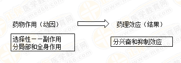 執(zhí)業(yè)藥師藥效學