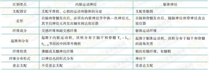 內(nèi)臟運(yùn)動神經(jīng)與軀體運(yùn)動神經(jīng)的區(qū)別 