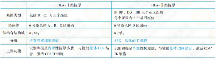 主要組織相容性復(fù)合體及其編碼分子