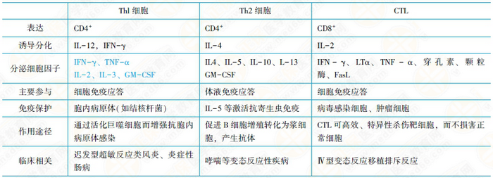 體液免疫應答