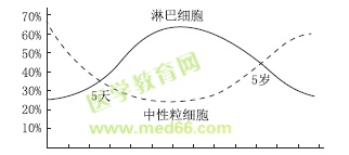 兒童中性粒細(xì)胞