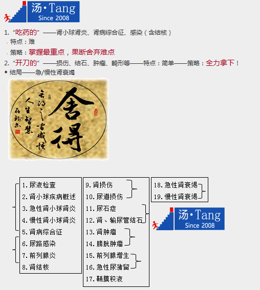 臨床執(zhí)業(yè)助理醫(yī)師泌尿系統(tǒng)特點及19個重點小結(jié)
