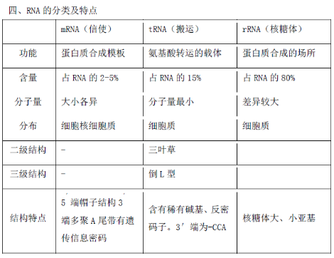 核酸機(jī)構(gòu)與功能