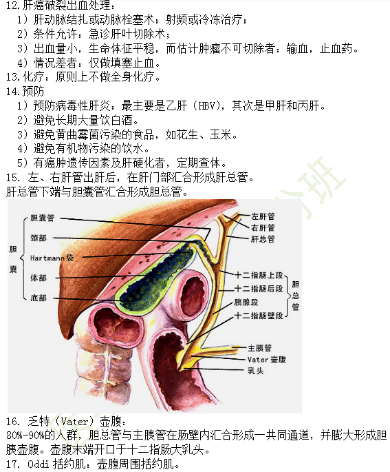 30個(gè)有關(guān)肝炎、膽囊炎相關(guān)考點(diǎn)匯總-臨床執(zhí)業(yè)醫(yī)師消化系統(tǒng)第九期！