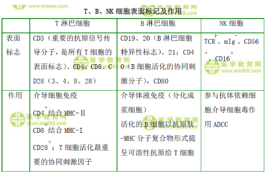 T、B、NK細(xì)胞表面標(biāo)記及作用