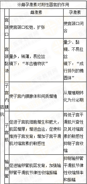 雌、孕激素的生理作用及附性器官的周期性變化