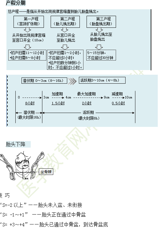 分娩的臨床經(jīng)過及處理