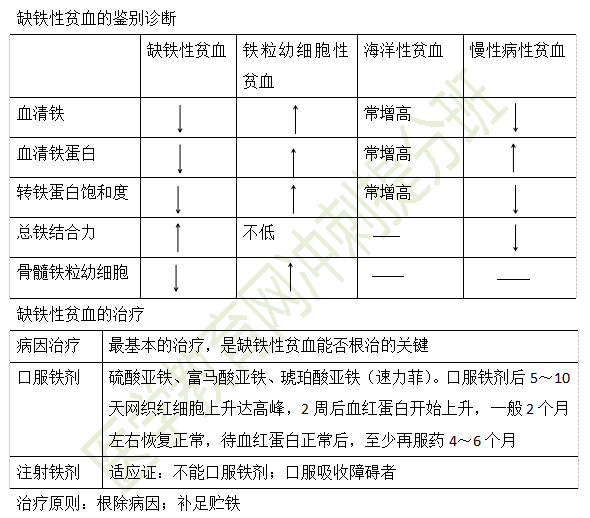 缺鐵性貧血