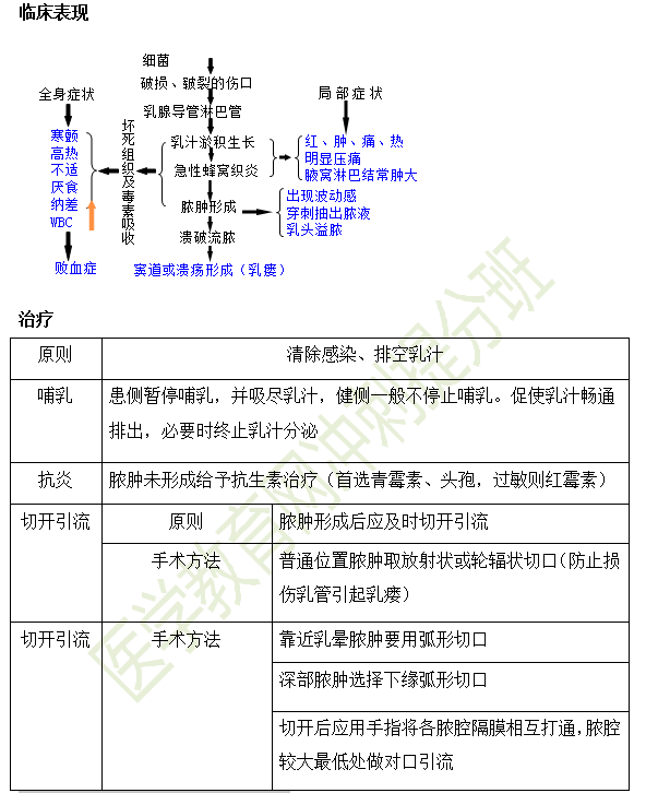 急性乳腺炎