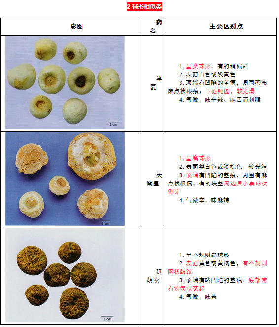 每日沖刺計(jì)劃！2019執(zhí)業(yè)藥師《中藥學(xué)專業(yè)知識二》第一篇！