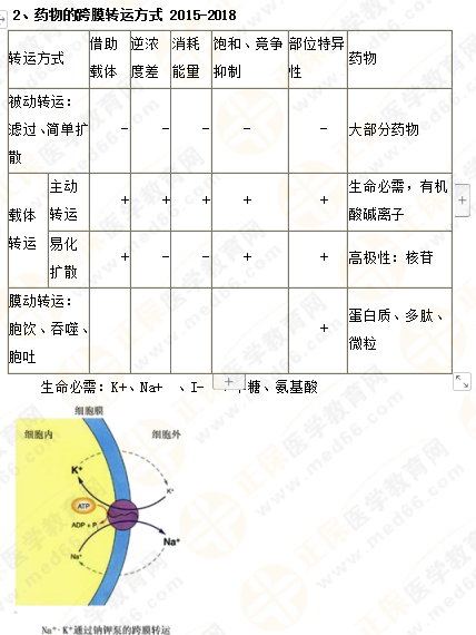 2019年執(zhí)業(yè)藥師《藥一》的藥劑學(xué)，15分鐘經(jīng)典回顧！