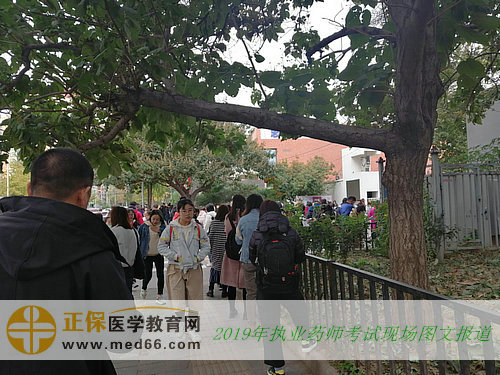 致2019年全國執(zhí)業(yè)藥師考生：你們努力的樣子真美！