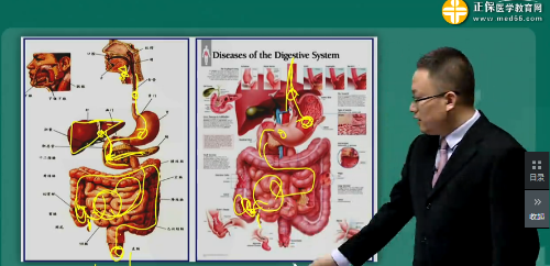 【視頻】2019年臨床執(zhí)業(yè)醫(yī)師消化系統(tǒng)科目特點及復(fù)習建議