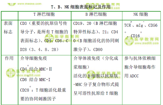 T、B、NK細(xì)胞表面標(biāo)記及作用