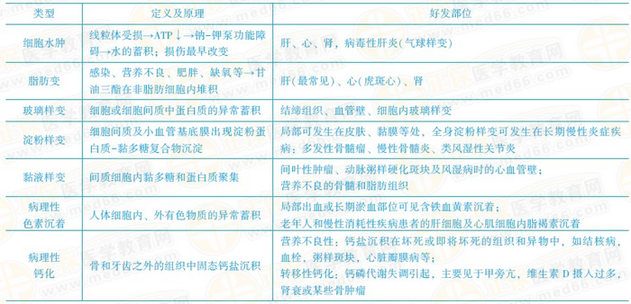 可逆性損傷的?？键c